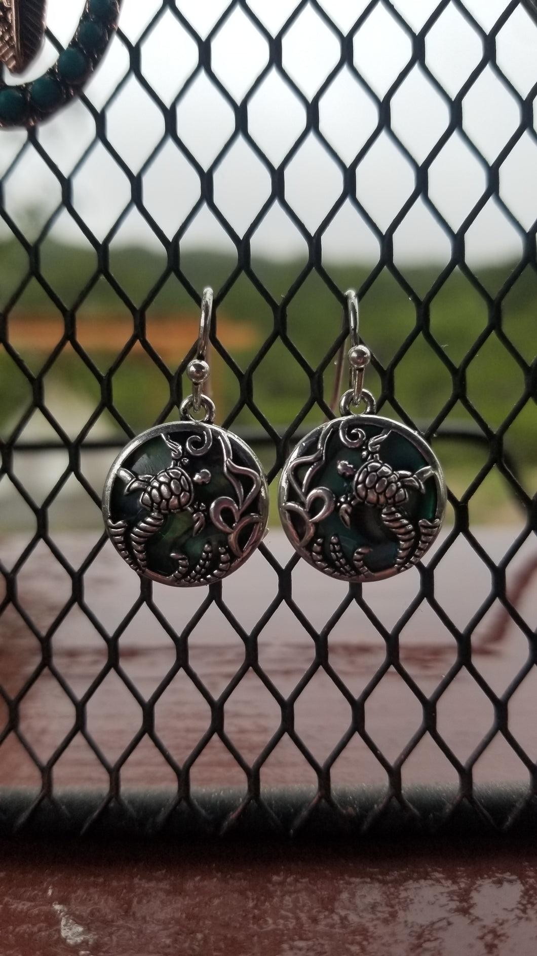 Turtle abalone earrings