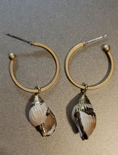 Load image into Gallery viewer, Long shells earrings
