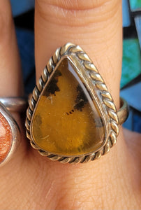 Amber rings